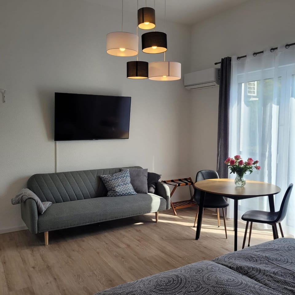 Bed, TV and multimedia, Living room, Seating area, Bedroom