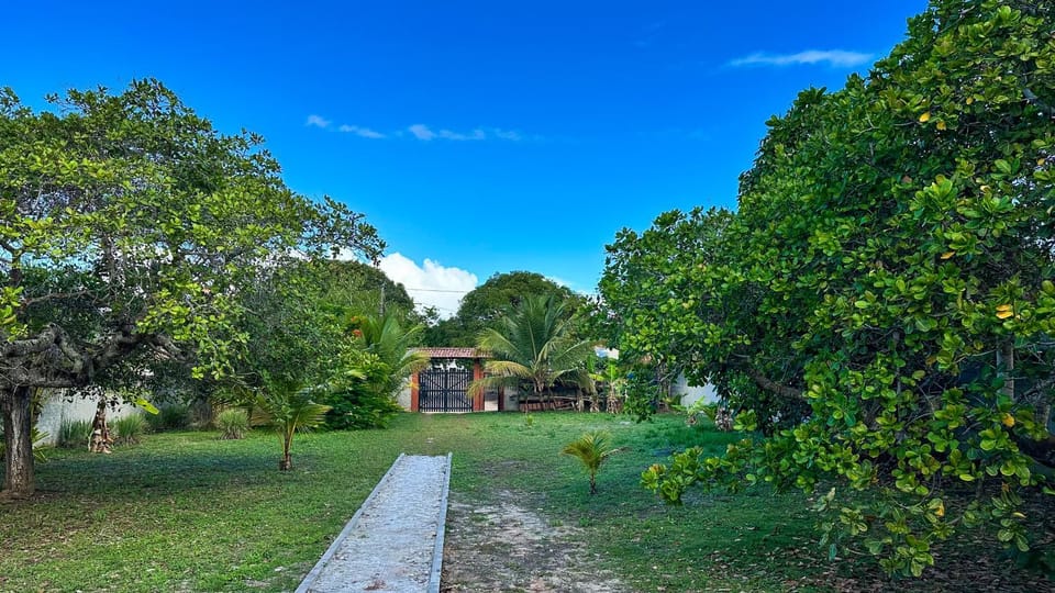 Garden view