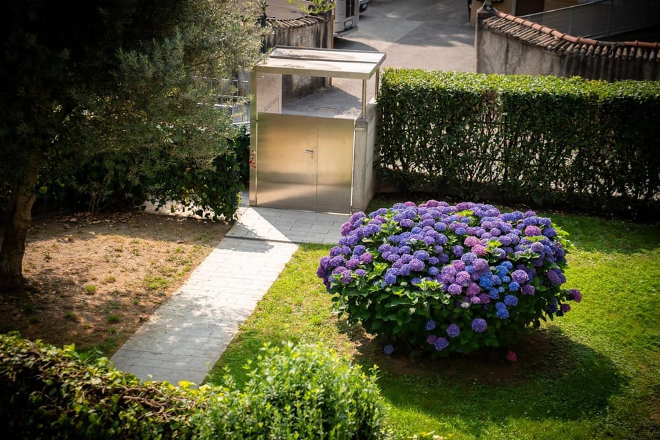 Patio, Garden, Garden view