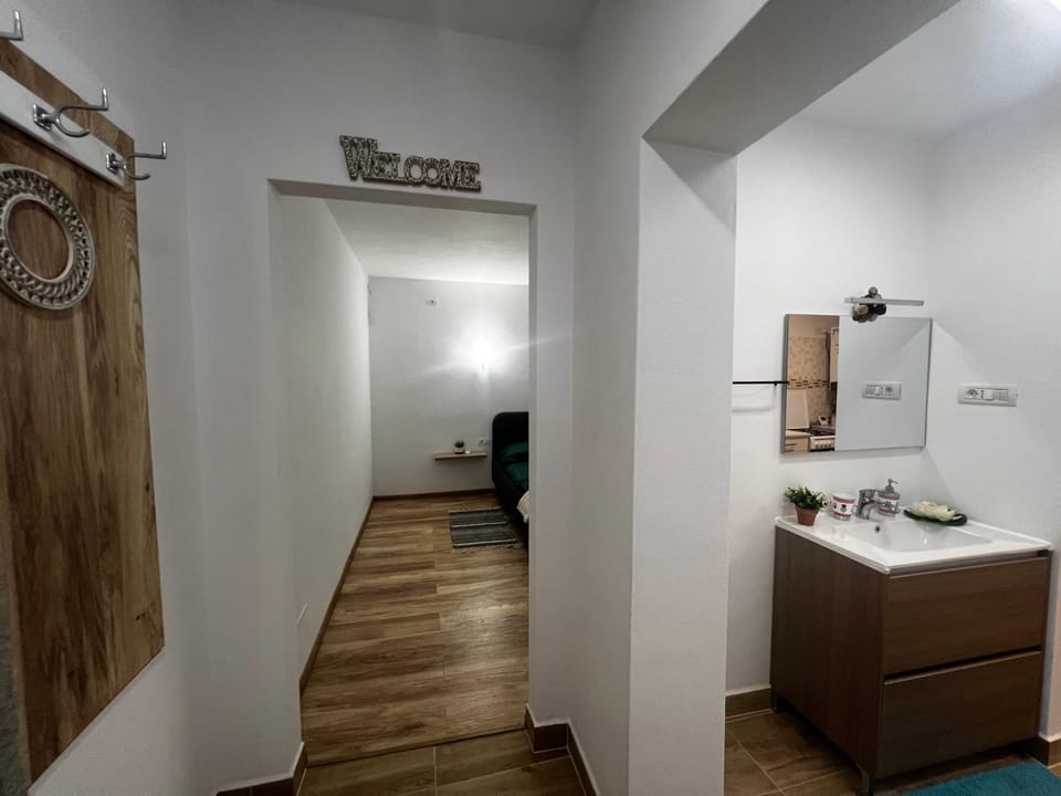 Miha Residence Apartment in Timiș County