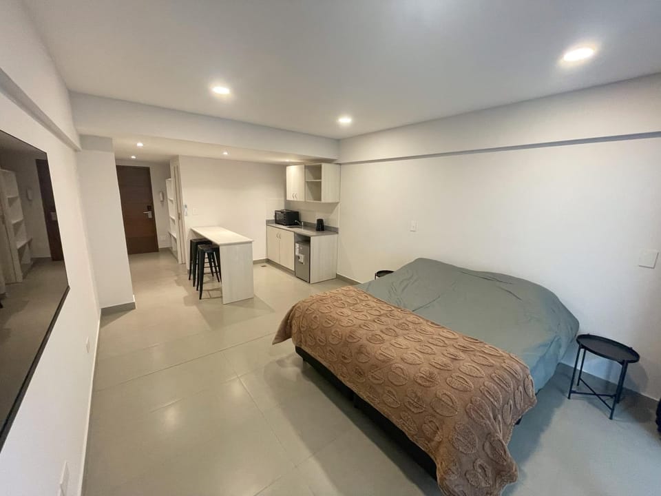 Studio nuevo, cómodo, luminoso, pleno centro Jujuy Apartment in San Salvador de Jujuy
