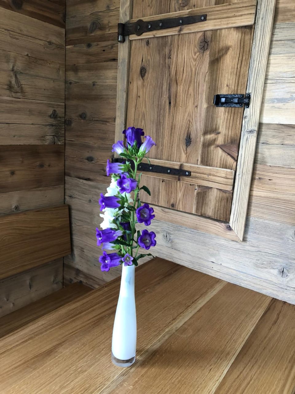 Pusteblume Apartment in Vorarlberg, Austria
