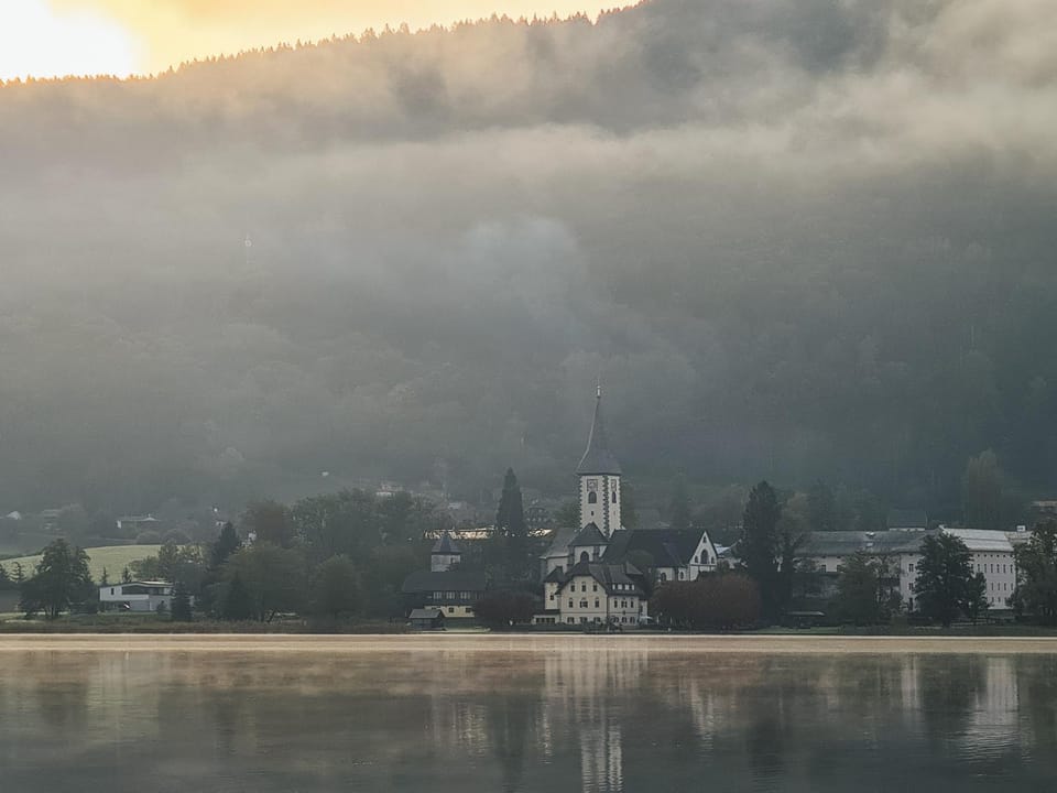 Lake view