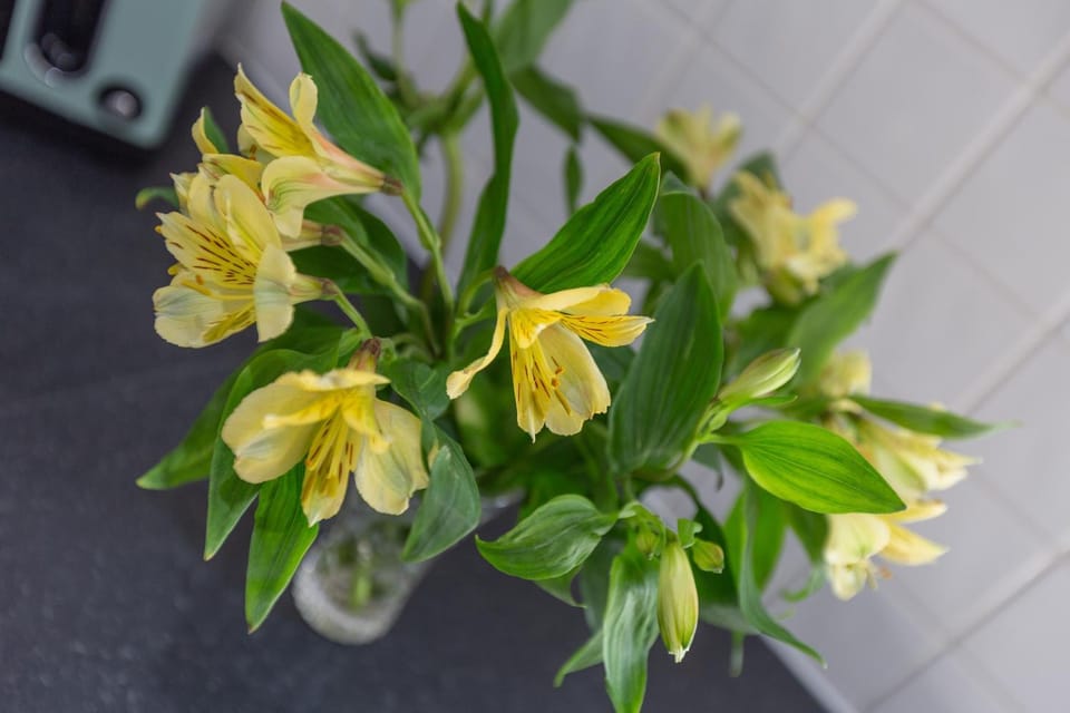 Lytham St Annes Luxury Apartment - No 3 Tides Reach Apartment in Lytham St Annes