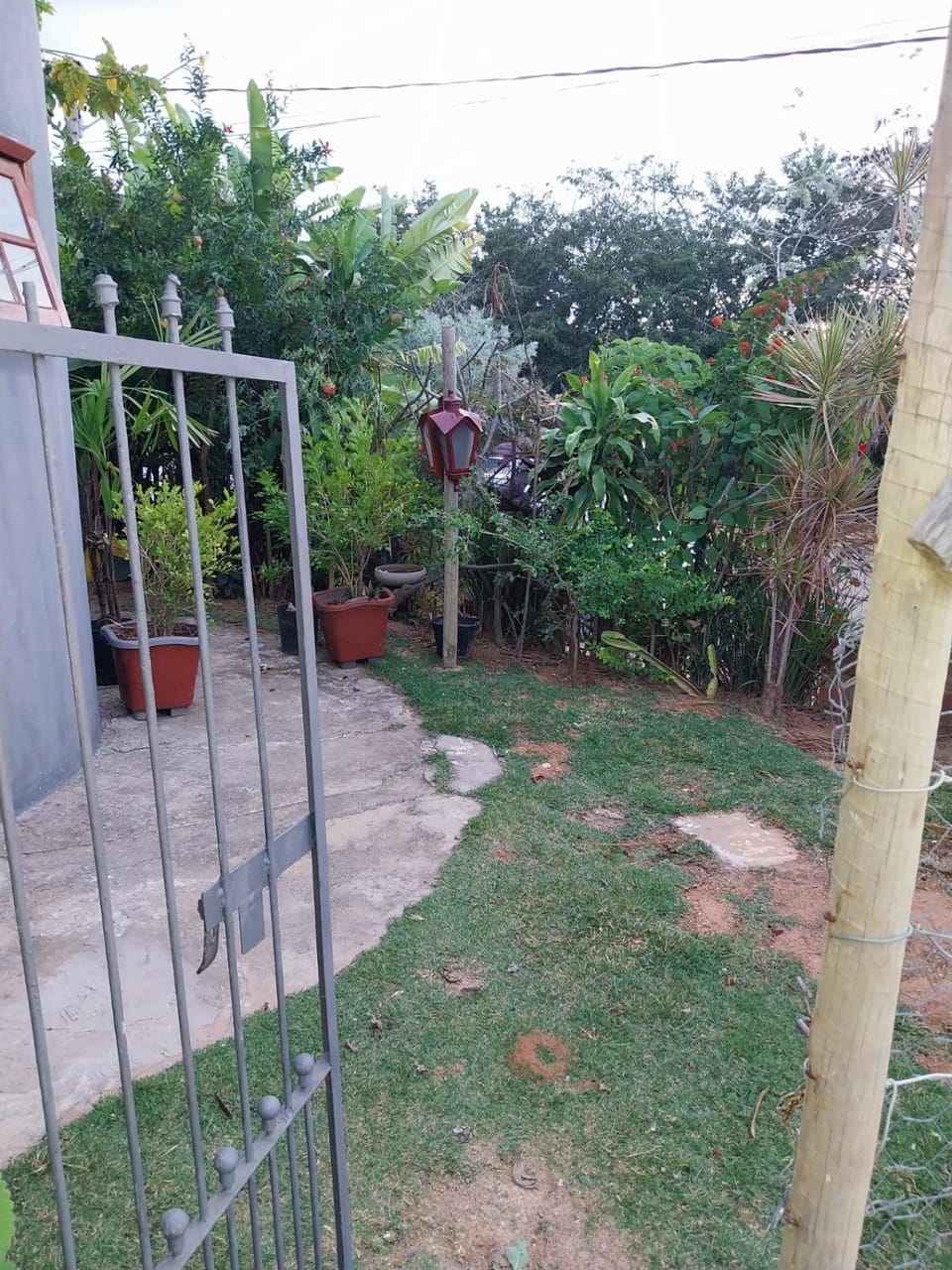 Day, Garden, Garden view
