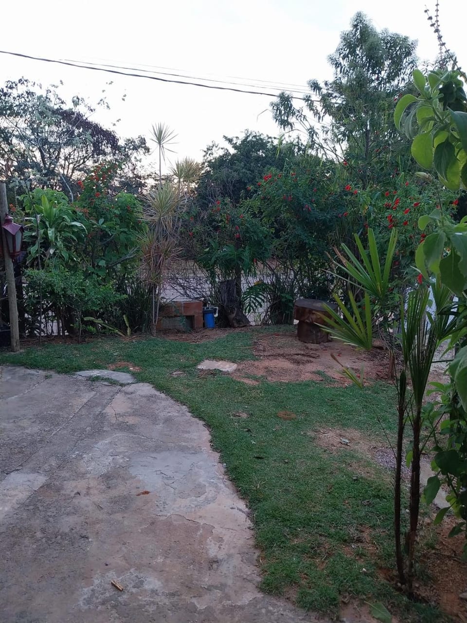 Spring, Day, Natural landscape, Garden, Garden view