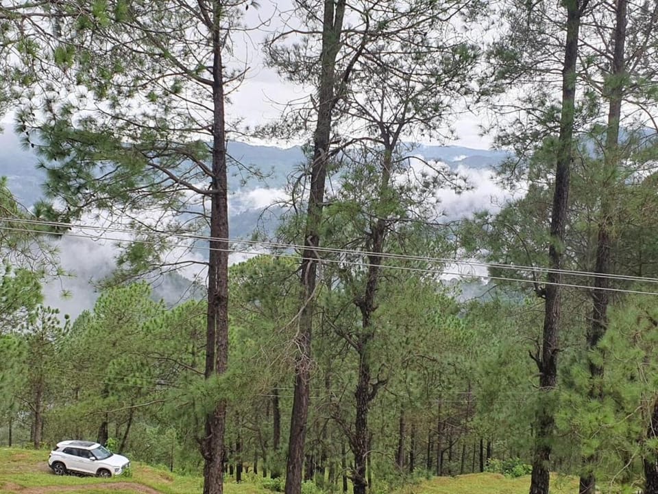 Kedar Villa Lansdowne- A complete private homestay House in Uttarakhand