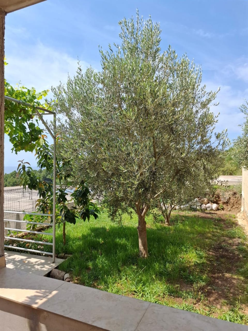 Apartmani Šćekić Apartment in Montenegro