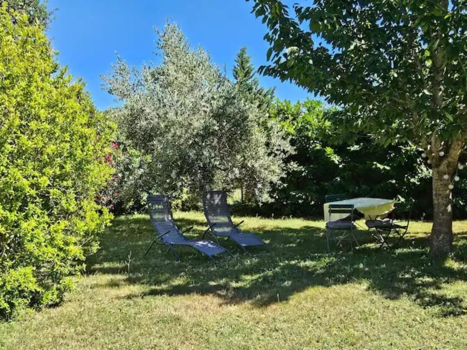 Garden, Garden view, sunbed
