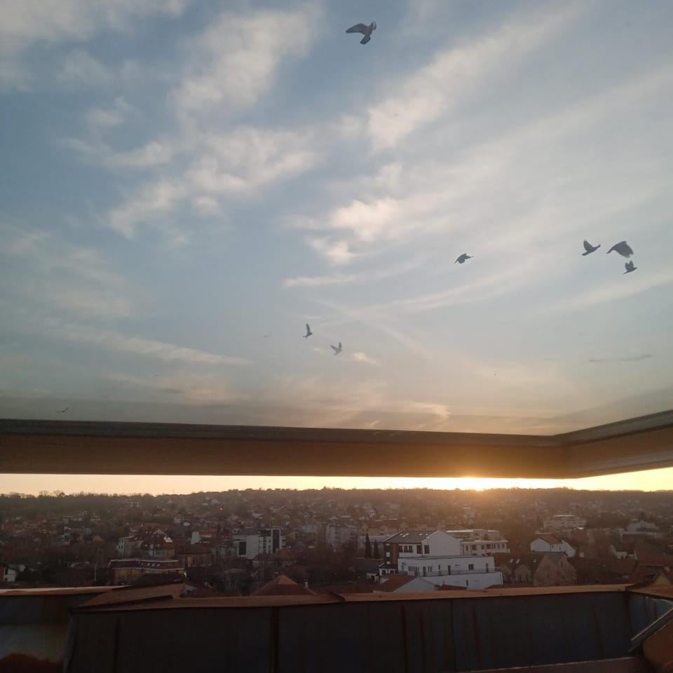 Apartman Skyview Apartment in Serbia