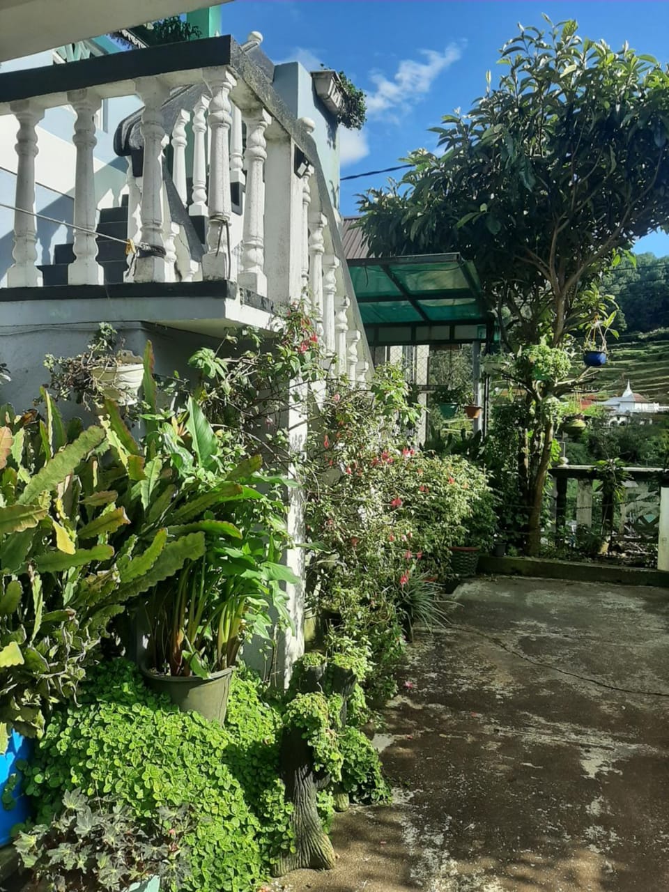 Property building, Garden