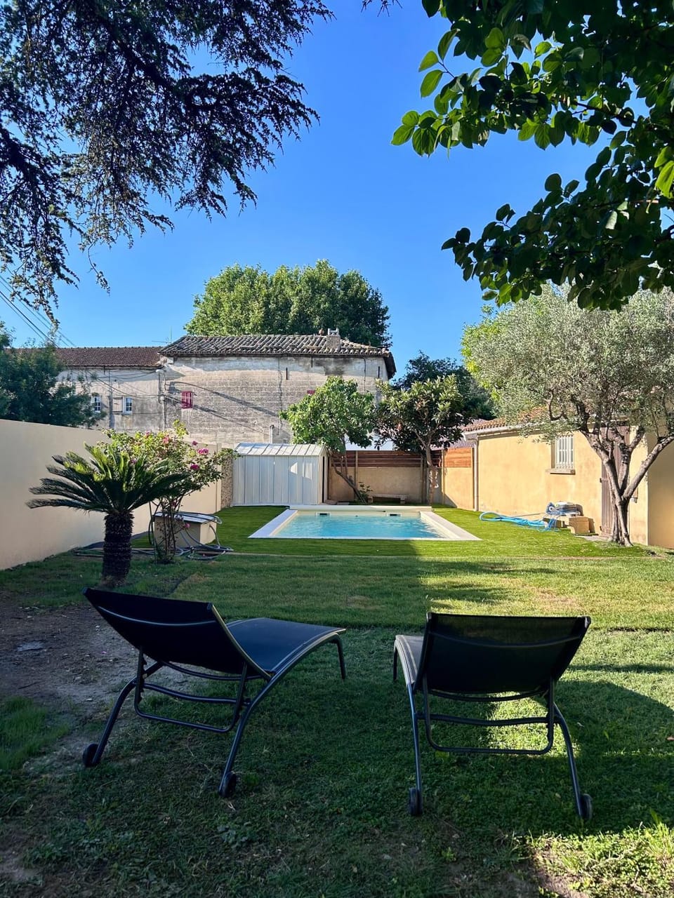Garden, Garden view, Swimming pool