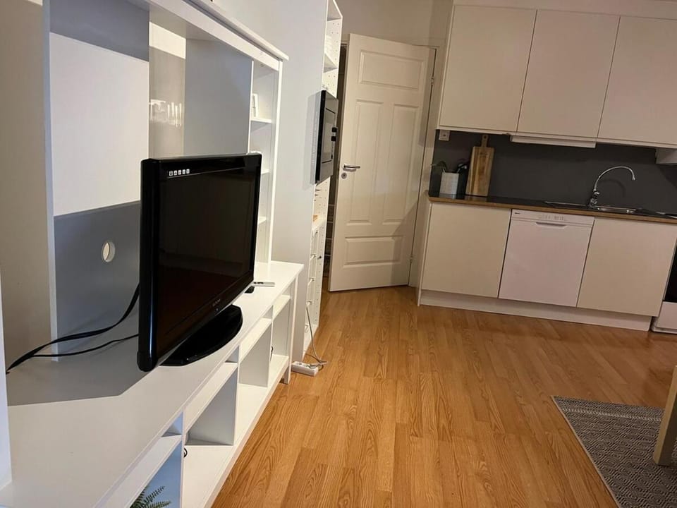 TV and multimedia, Kitchen or kitchenette, dishwasher, oven, stove