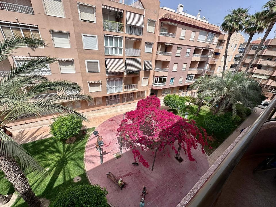 Newly Renovated Apartment in Guardamar del Segura Apartment in Vega Baja del Segura
