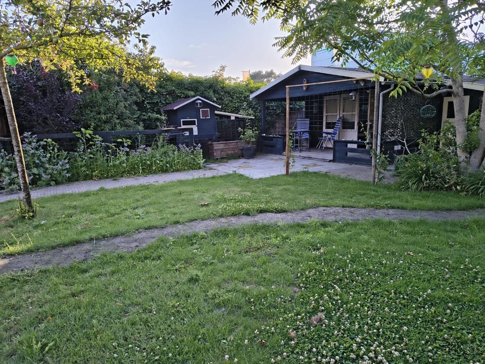 Property building, Day, Garden