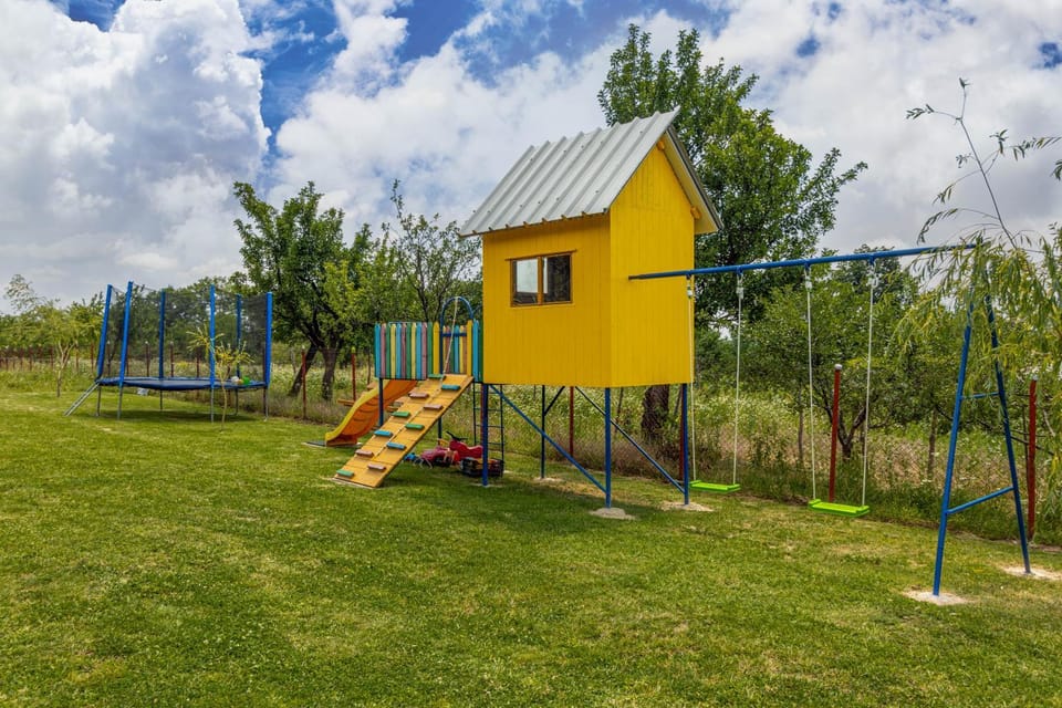 Day, Natural landscape, Children play ground, Garden, Garden view