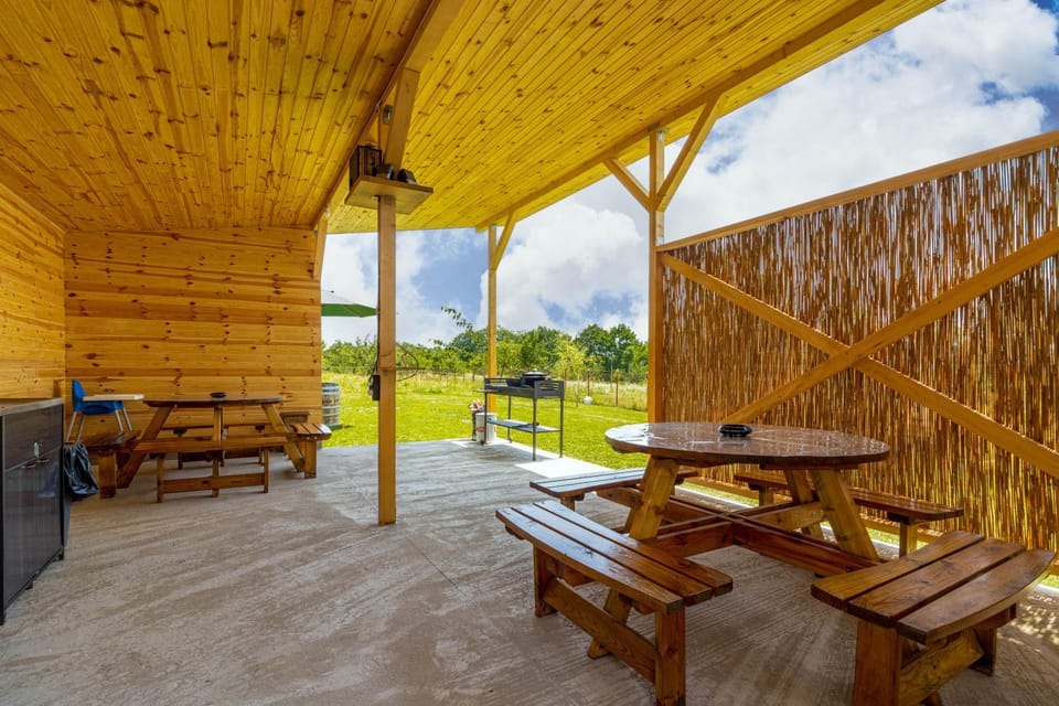 Patio, Day, BBQ facilities, Dining area
