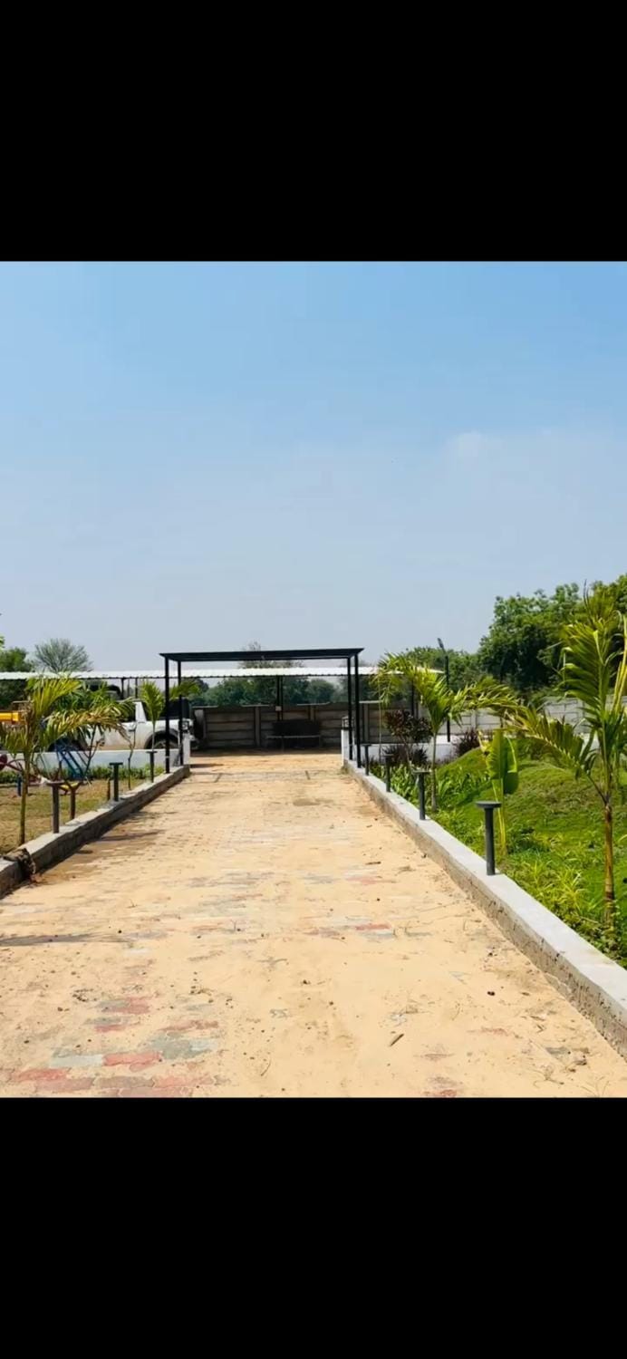 Natural landscape