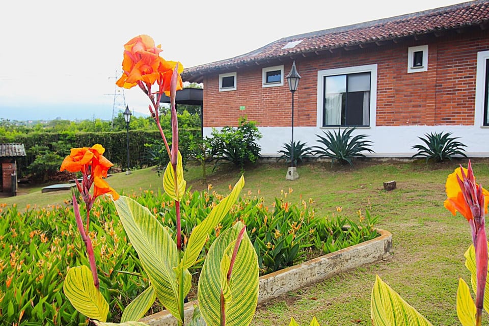 Property building, Day, Garden, Garden view