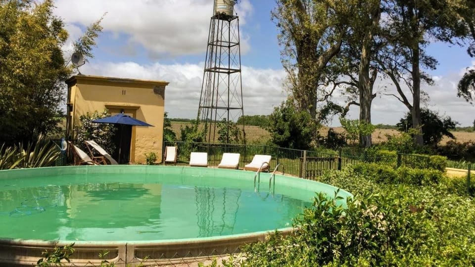 Garden, Swimming pool, Swimming pool