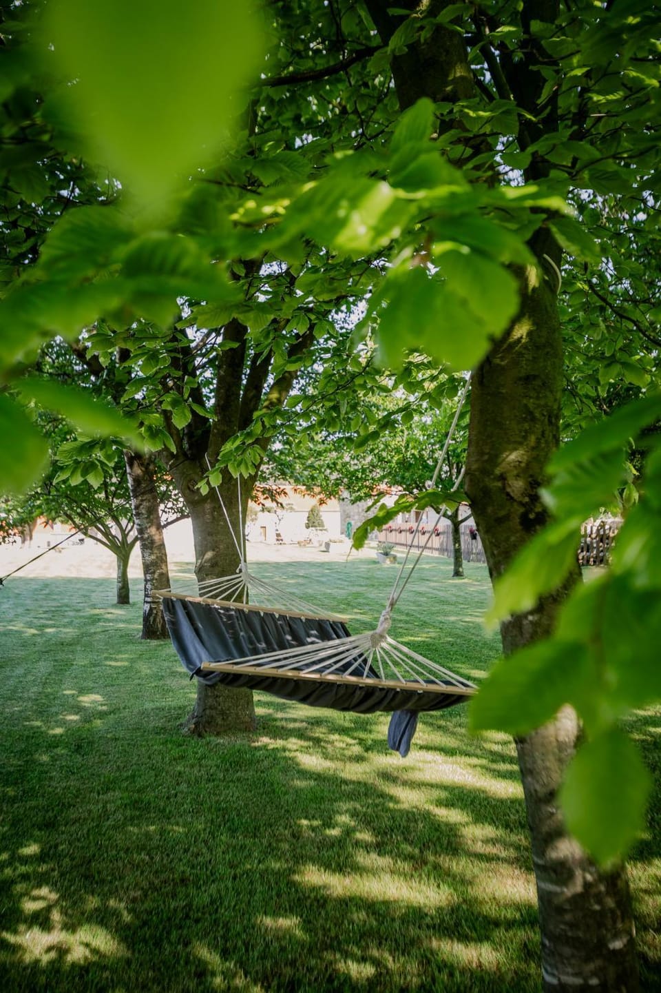 Garden, sunbed