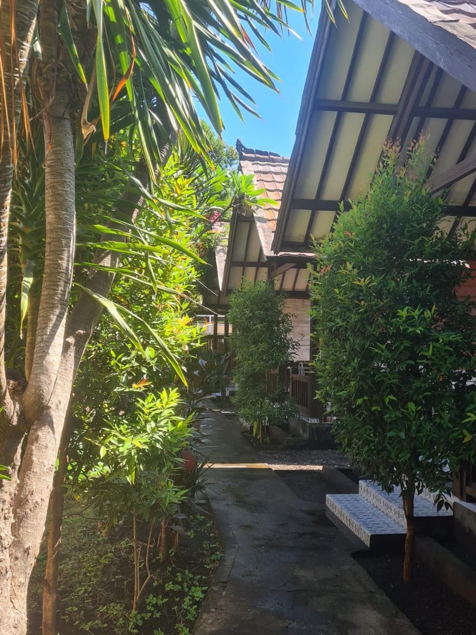 Property building, Garden