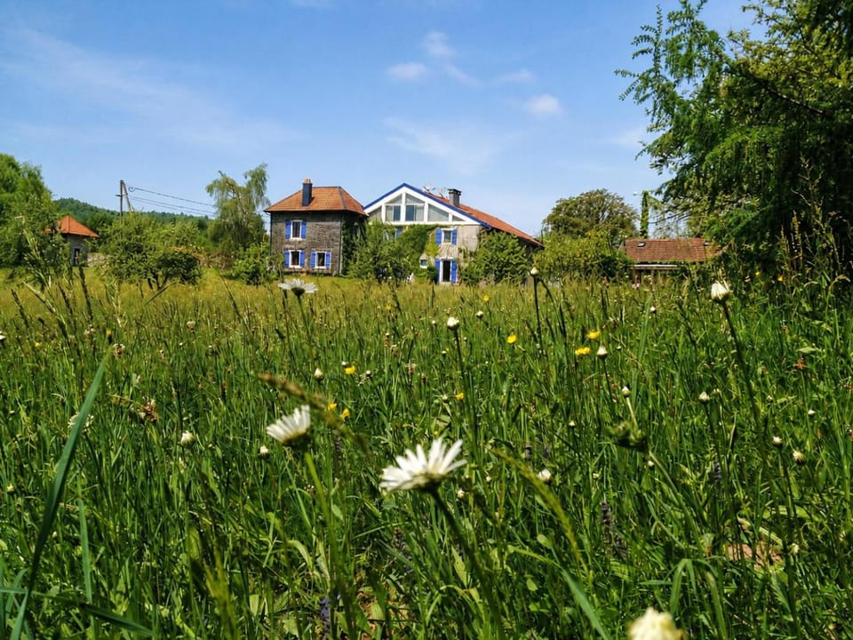 Property building, Garden view