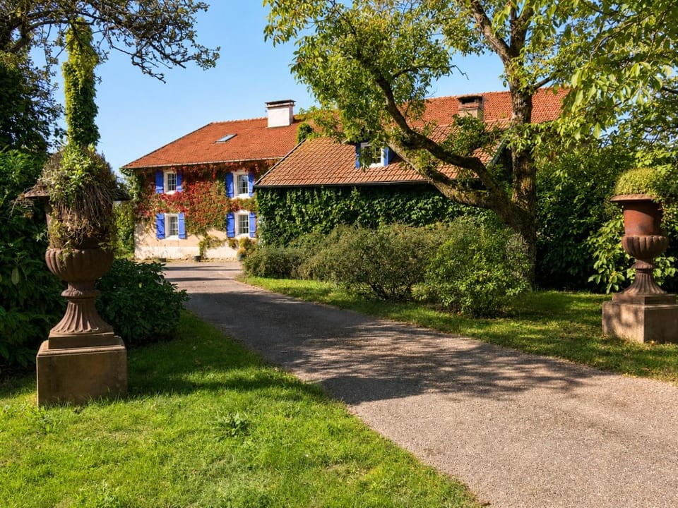 Property building, Garden view