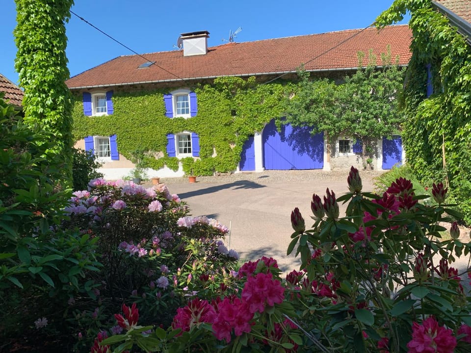 Gîte et Roulotte dans les Vosges House in Vosges