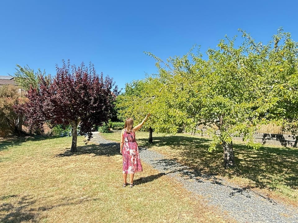 Casa Carlés by URent House in Galicia