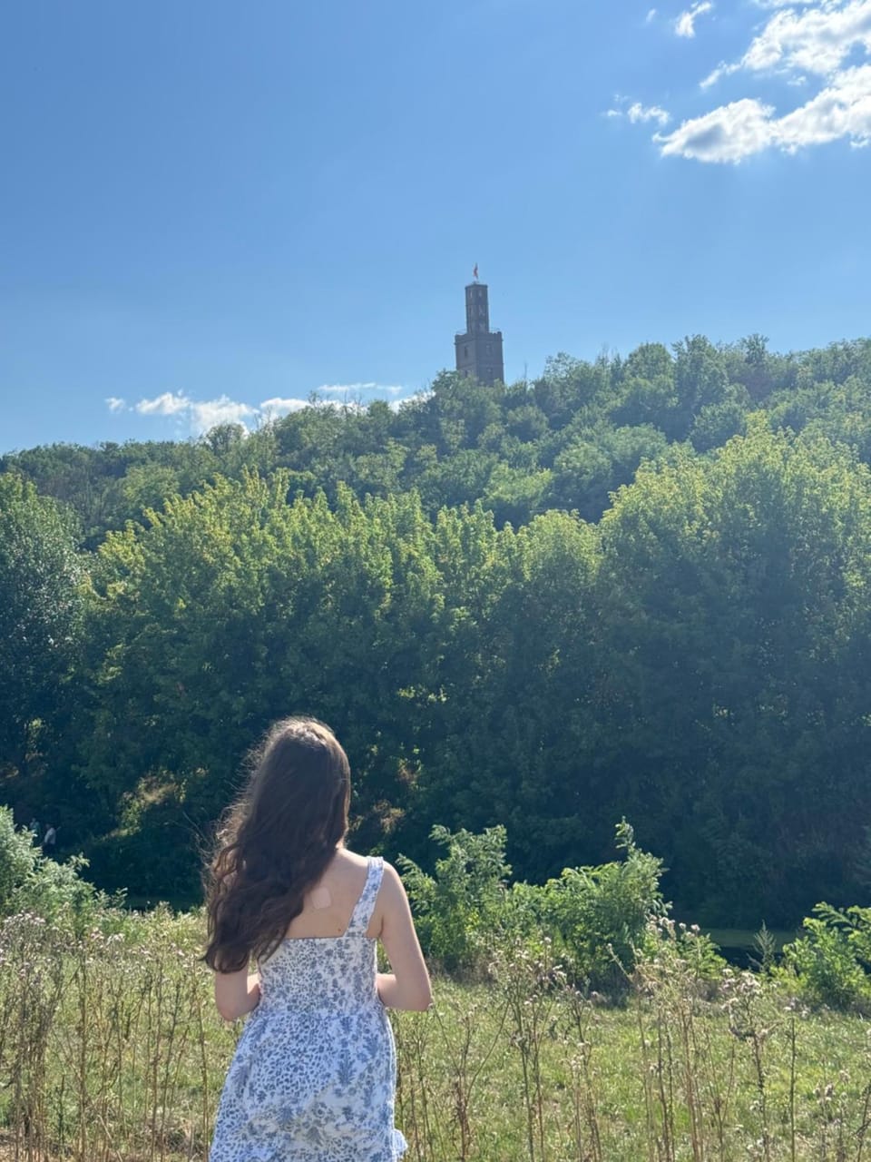 Landmark view