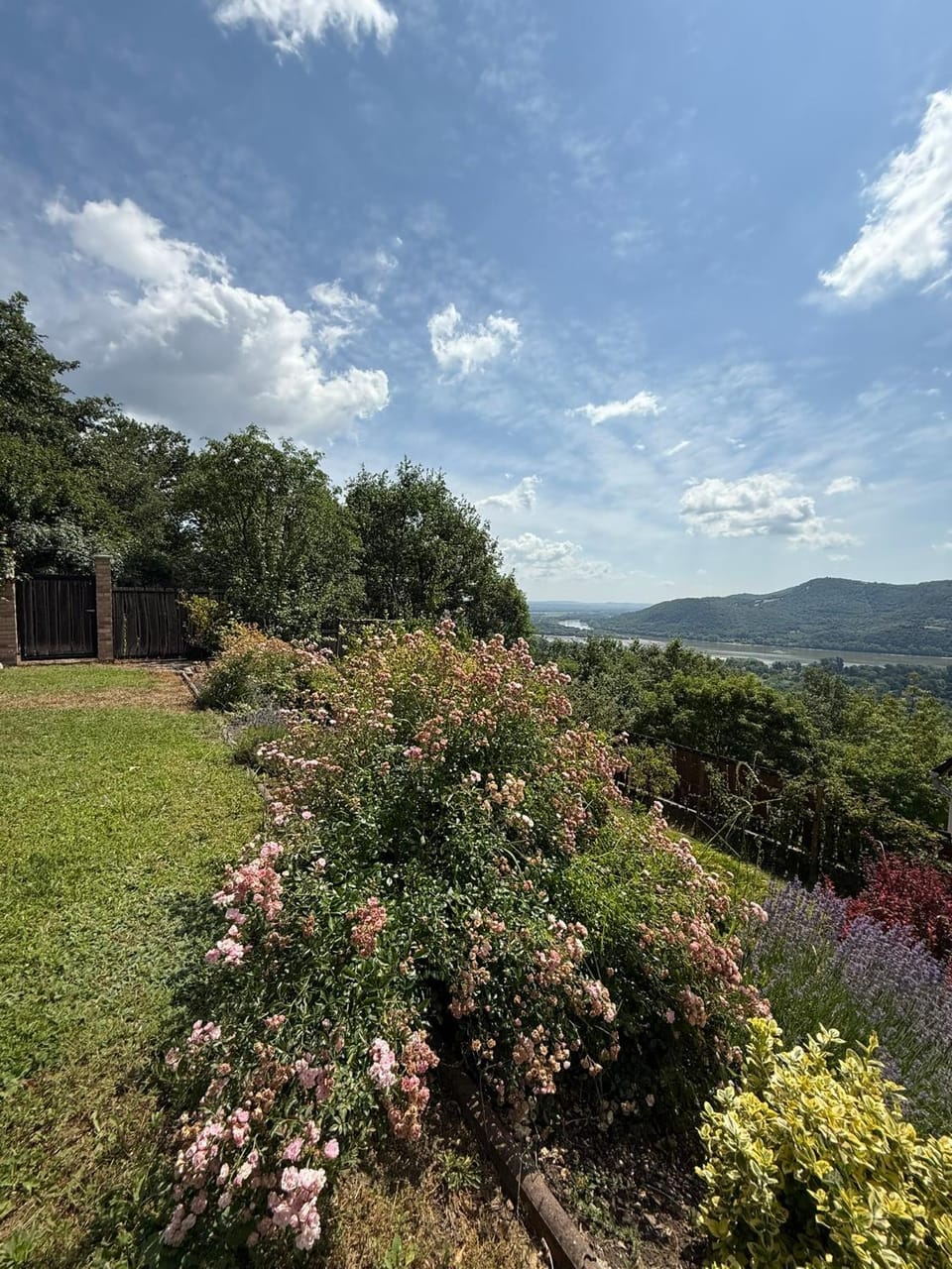 Natural landscape, Garden, Garden view, Mountain view