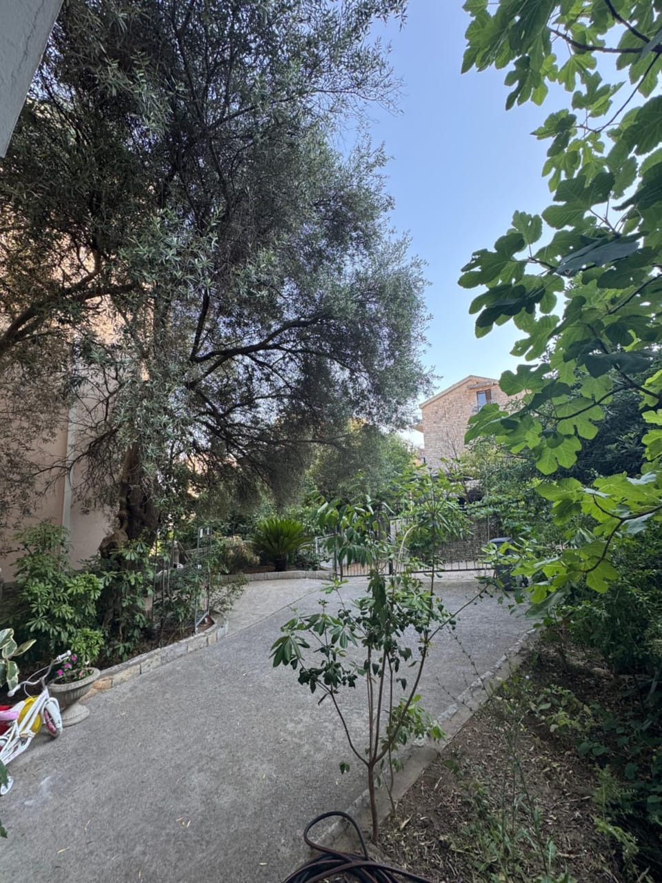 Rooms Vuk Bed and Breakfast in Budva Municipality