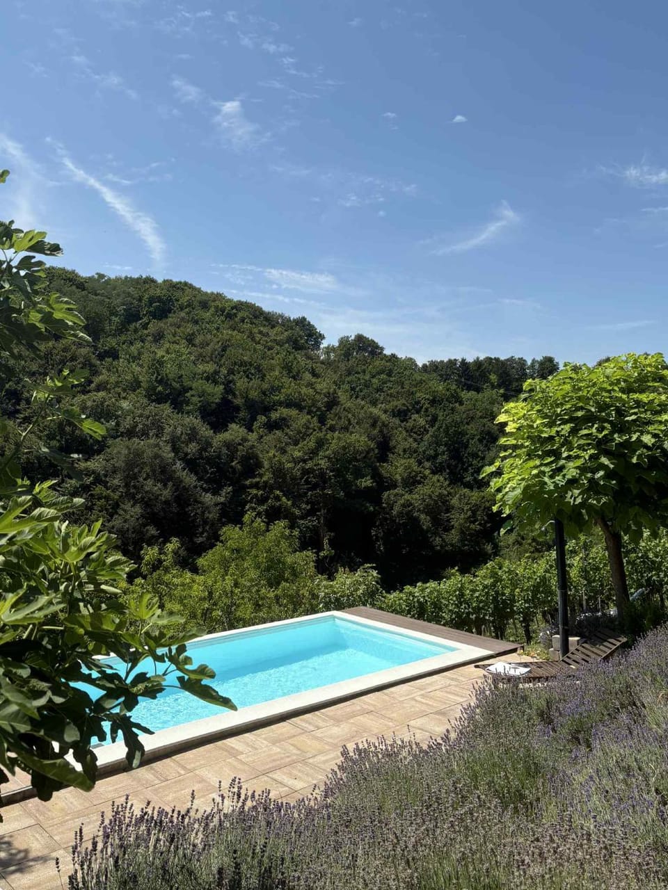 Apartma Lavanda Apartment in Slovenia