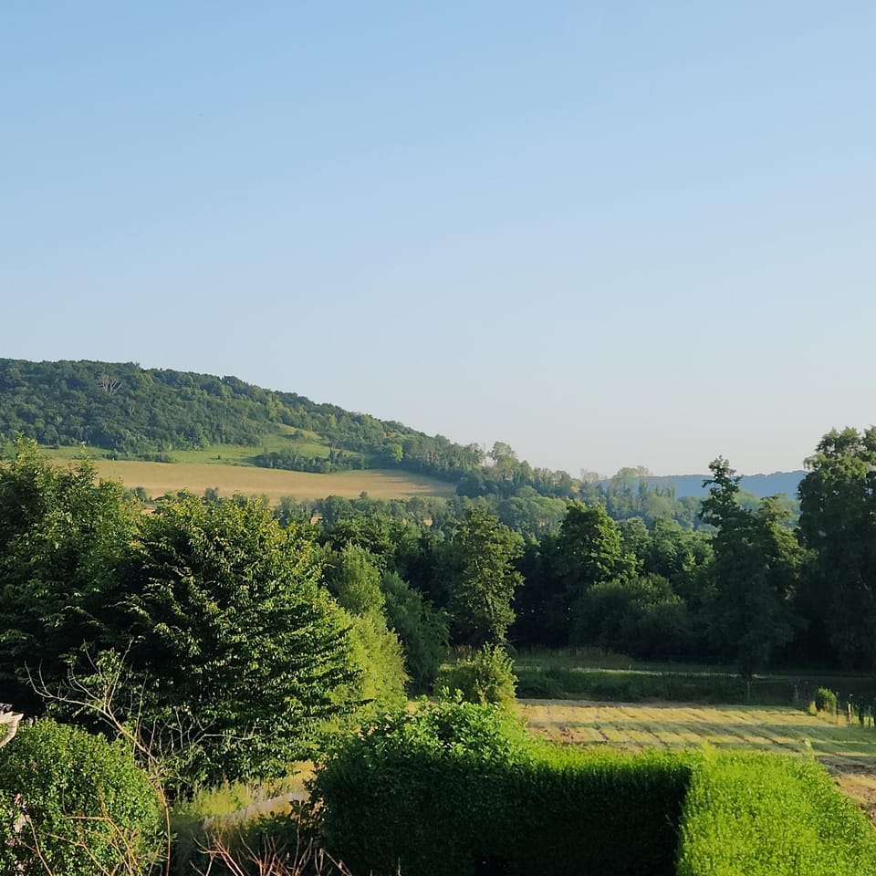 Natural landscape