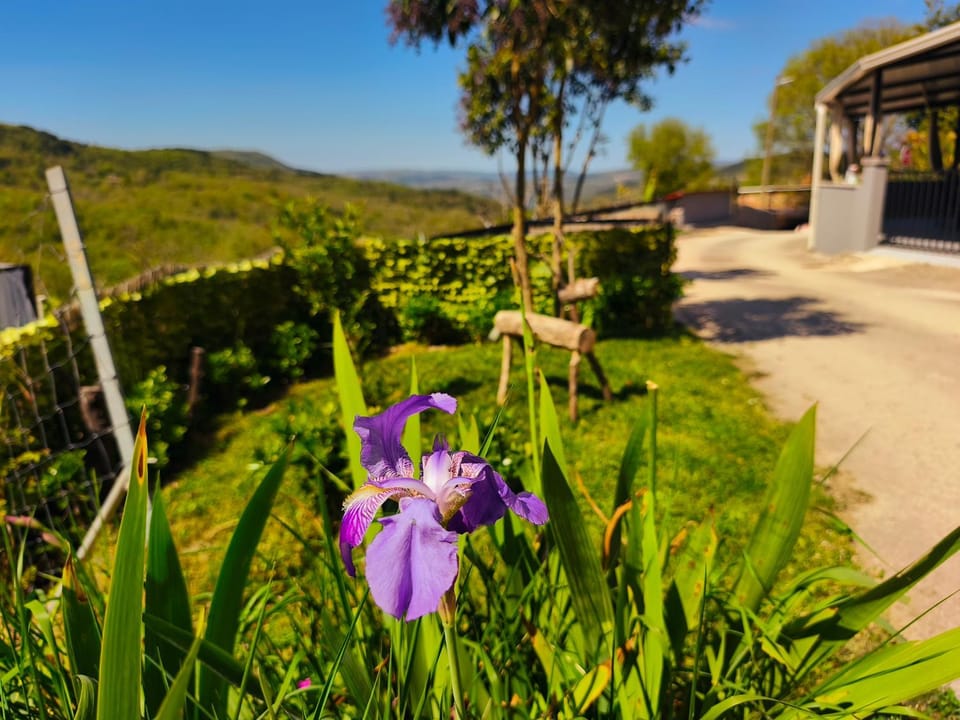 Casa Tone House in Istria County