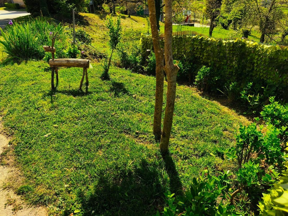 Casa Tone House in Istria County