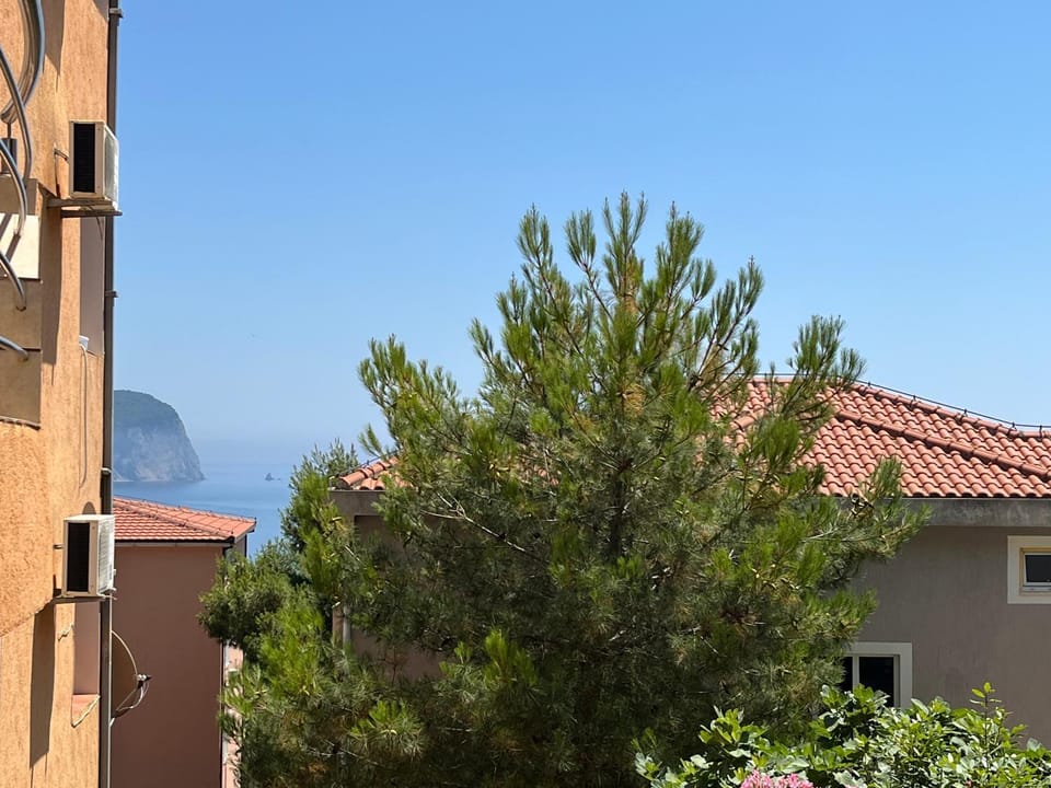 Apartment Sara Apartment in Budva Municipality