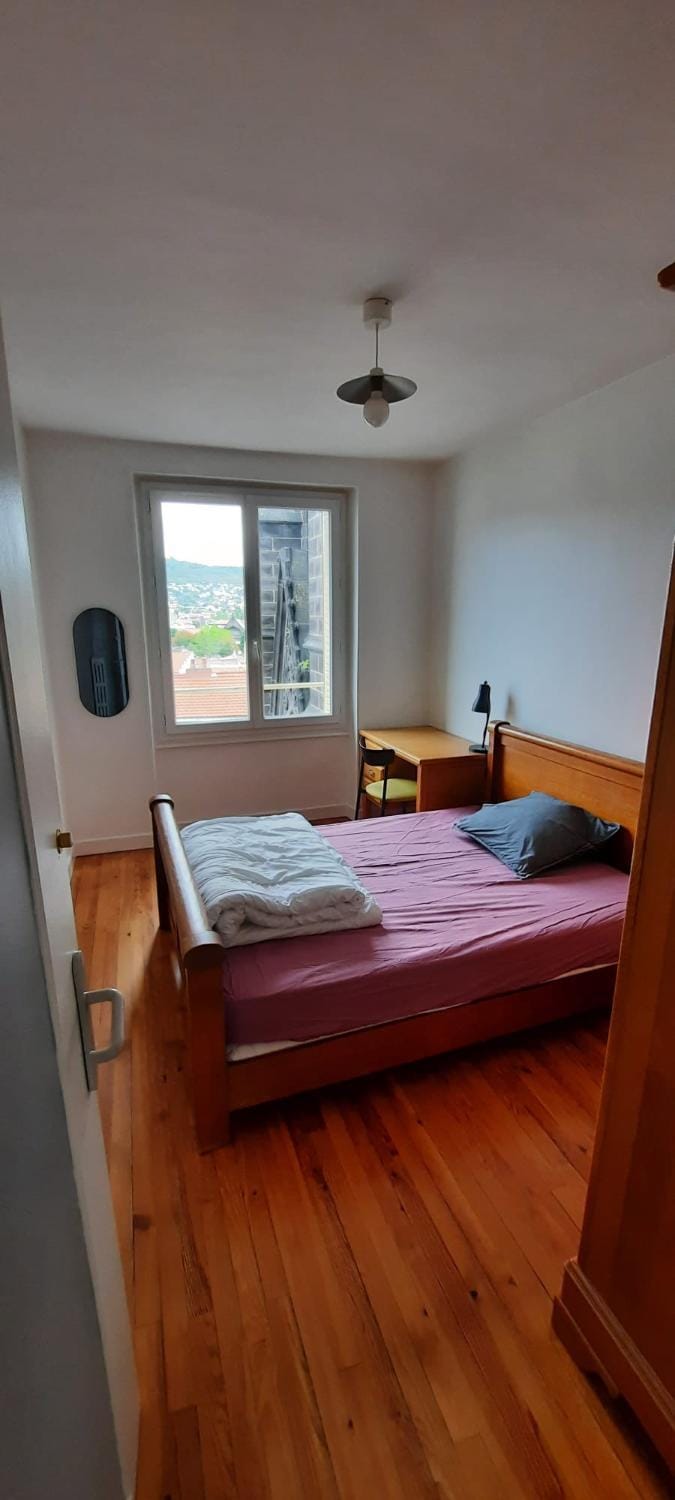 Logement T3 Hypercentre Apartment in Clermont-Ferrand