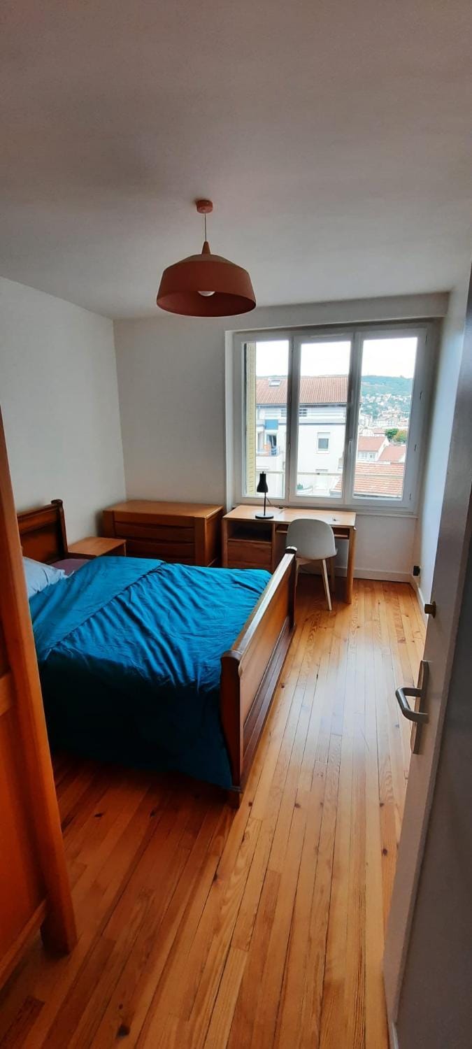 Logement T3 Hypercentre Apartment in Clermont-Ferrand