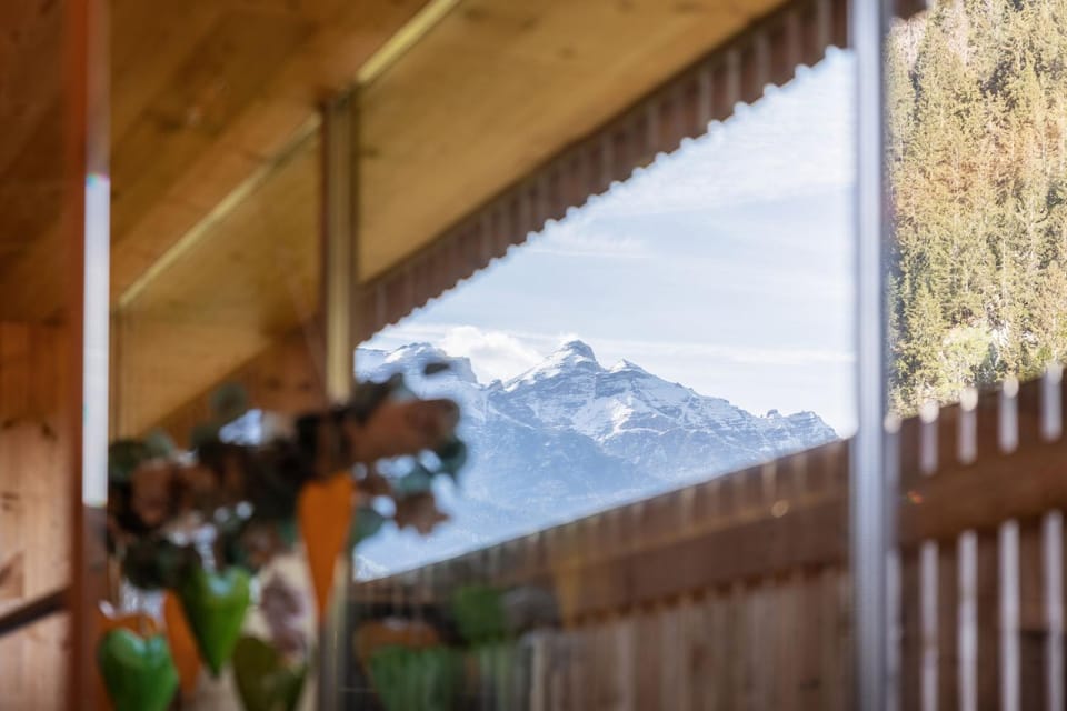 Mountain view