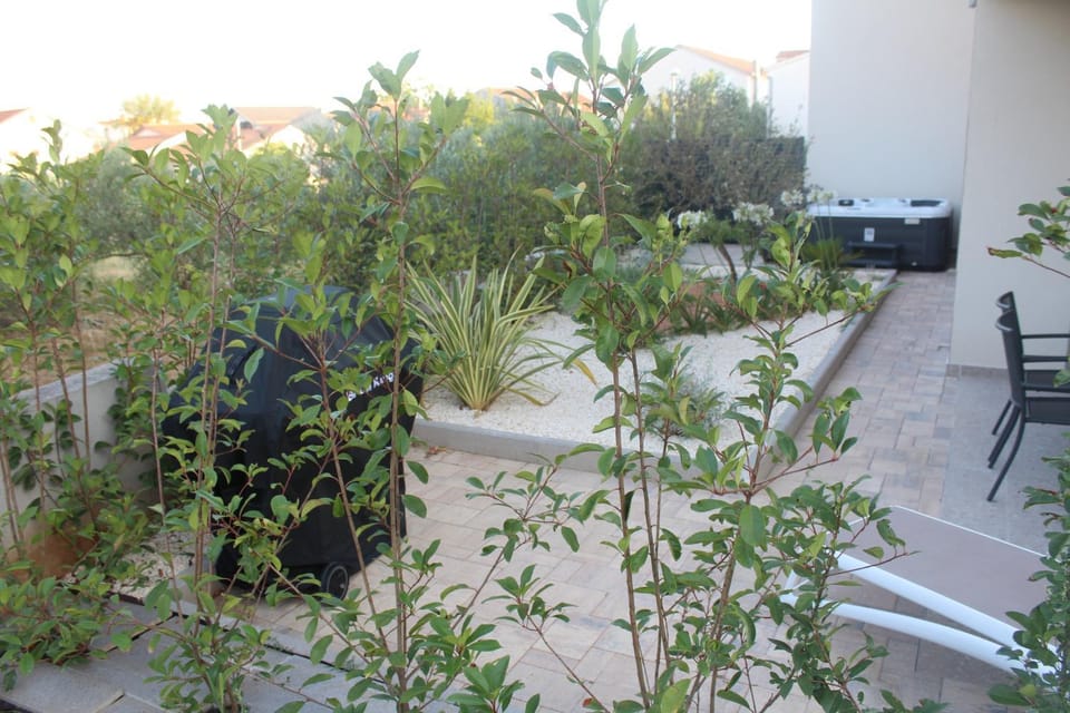 Patio, Garden, Garden view