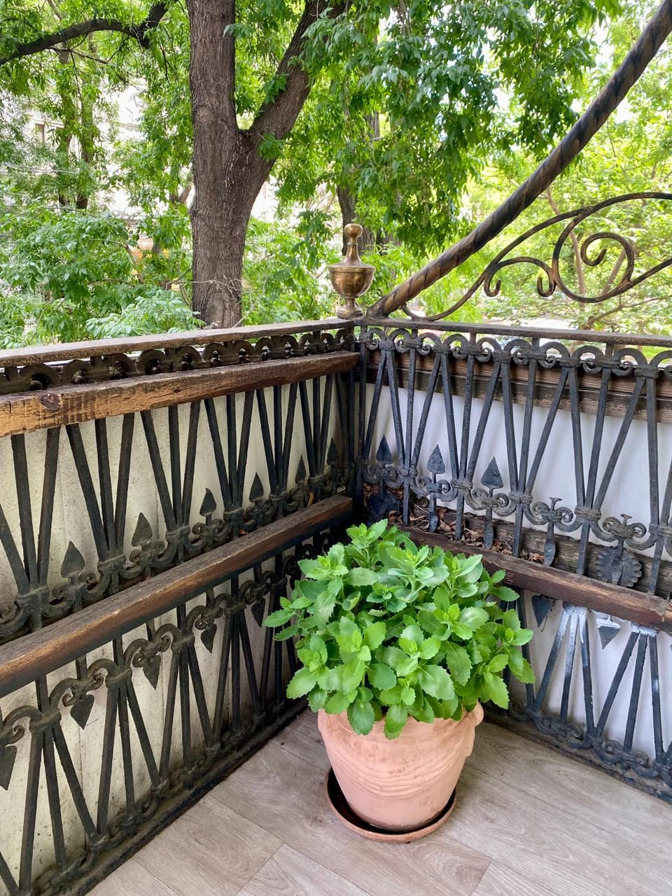 Квартира с балконом в центре города Apartment in Odessa