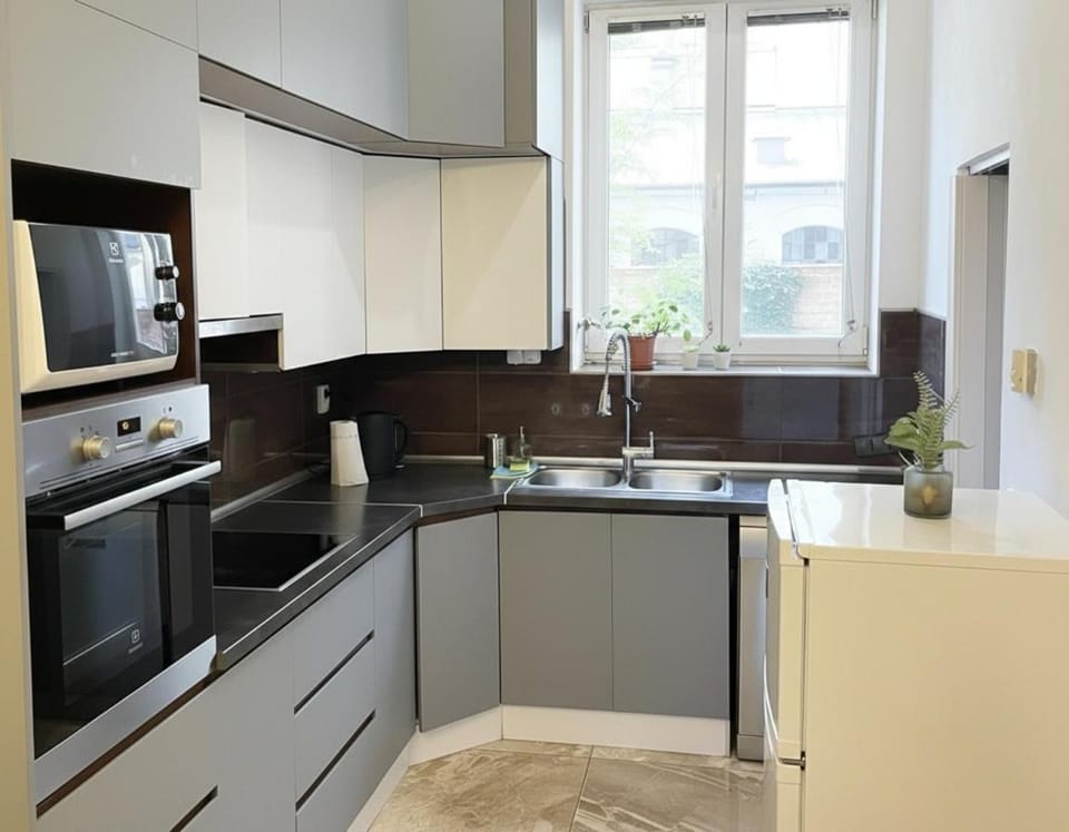 Kitchen or kitchenette, dishwasher, stove