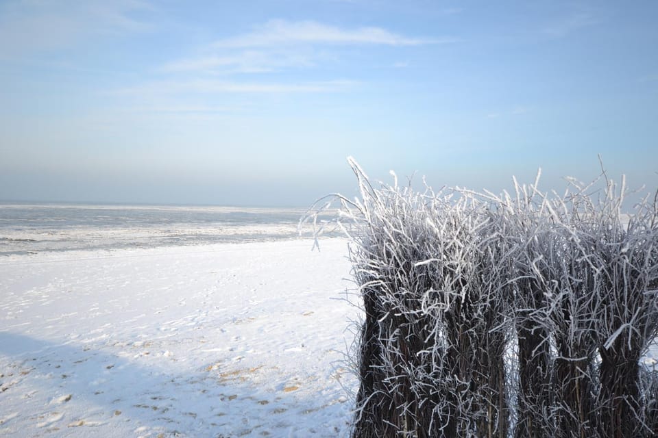 Winter, Beach
