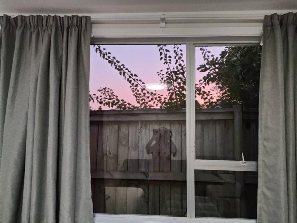 Small 3 bedroom Garden Chalet B House in Auckland