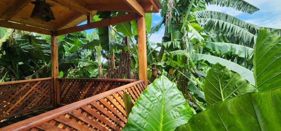 Cabañas los Bananos House in Misiones Province, Argentina