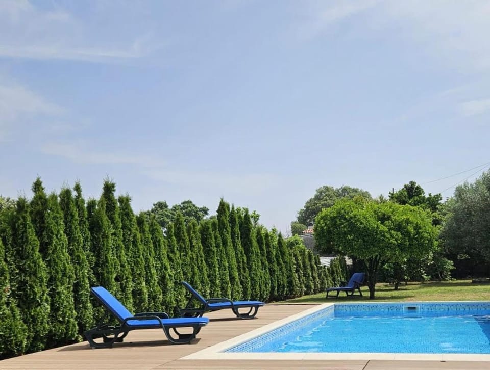 Villa Madalena Villa in Viana do Castelo District