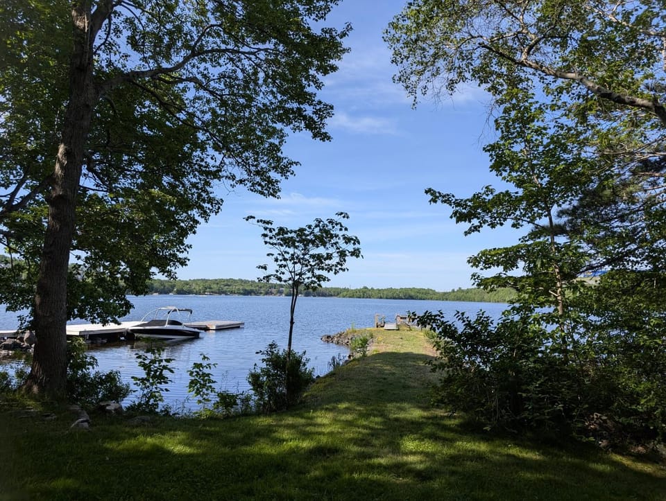 Fishing, Garden, Lake view