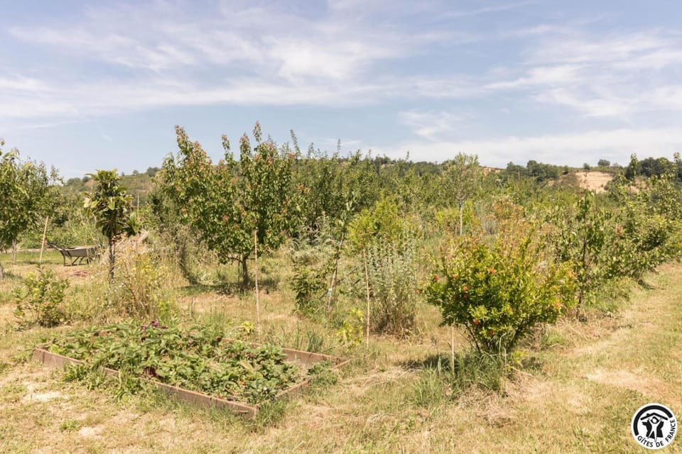 Le panier bio de noé House in Occitanie